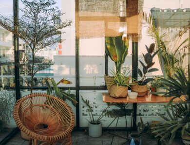 Gemütliches Zuhause: So bringen Blumen und Pflanzen Leben in Ihre Wohnung